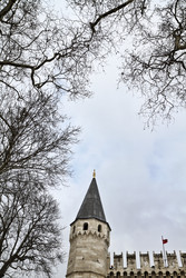 Similar image 1572547