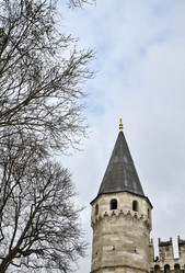 Similar image 1572552