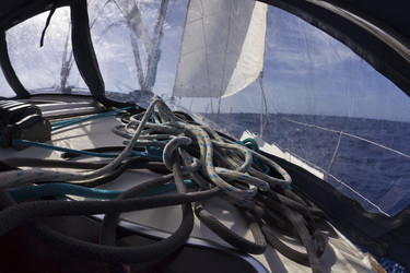 Similar image 1572562