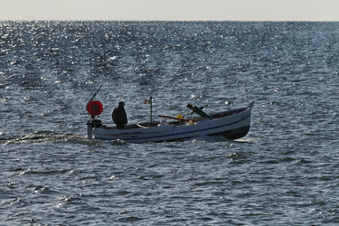 Similar image 1572586