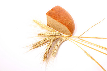 Similar image 1572660