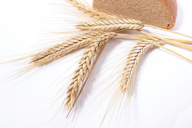 Similar image 1572663