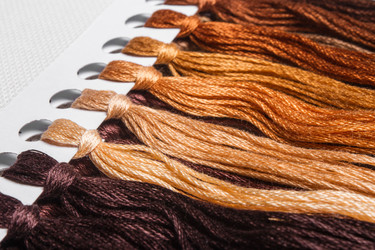 Similar image 1572687