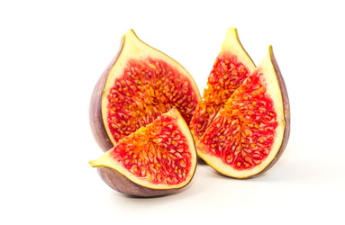 Similar image 1572701