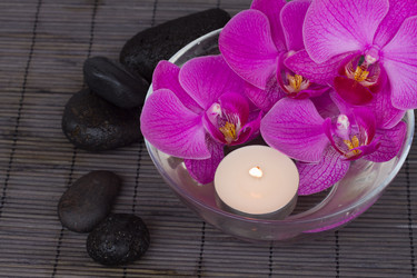 Similar image 1572839