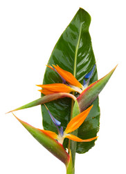 Similar image 1572841