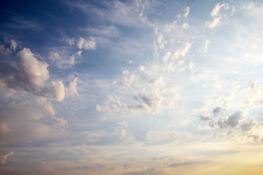 Similar image 1572932