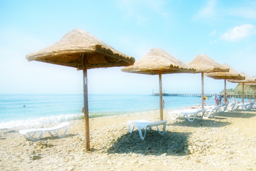 Similar image 1572956