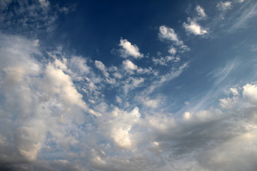 Similar image 1572959