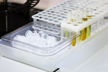 Similar image 1573028