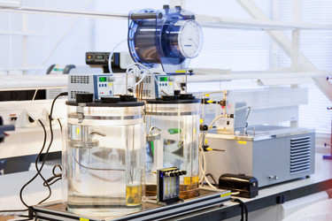 Similar image 1573032