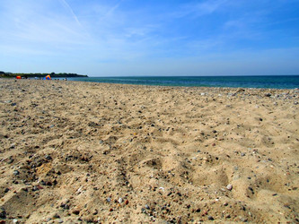 Similar image 1573159