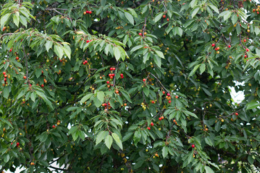 Similar image 1573193