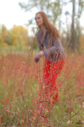 Similar image 1573229