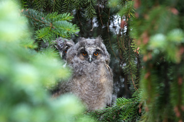 Similar image 1573242