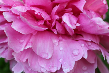 Similar image 1573243