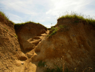 Similar image 1573285