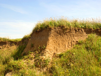 Similar image 1573286