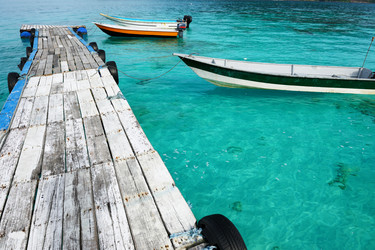 Similar image 1573339