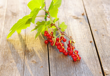 Similar image 1573372