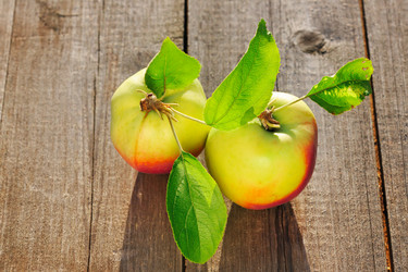 Similar image 1573374