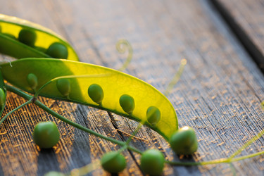 Similar image 1573376