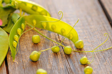 Similar image 1573377