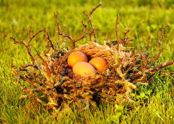 Similar image 1573378