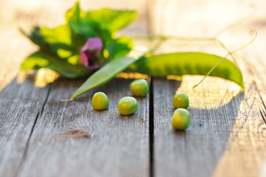 Similar image 1573379