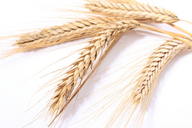 Similar image 1573403