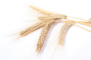 Similar image 1573404