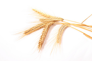 Similar image 1573436