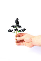 Similar image 1573437