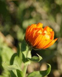 Similar image 1573438