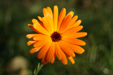 Similar image 1573439