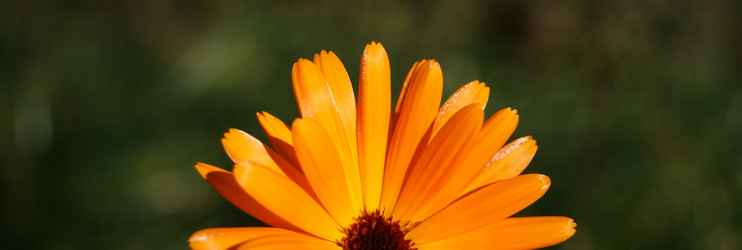 Similar image 1573440