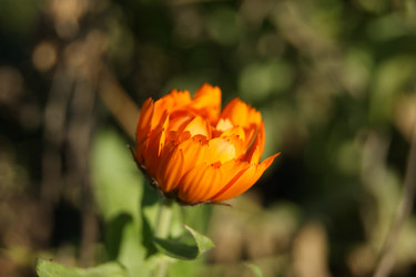 Similar image 1573441