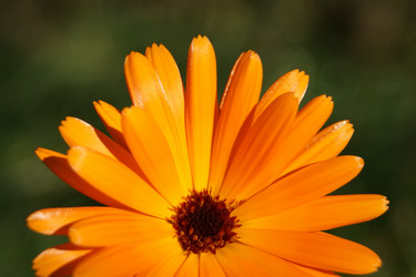 Similar image 1573443