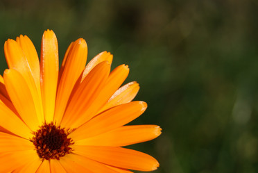 Similar image 1573444