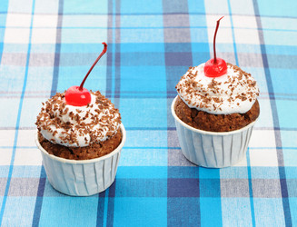 Similar image 1573531