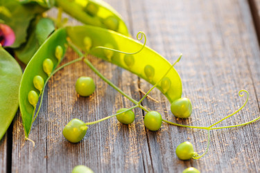 Similar image 1573551