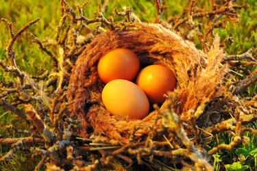 Similar image 1573558