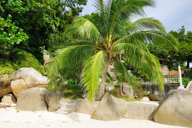 Similar image 1573570