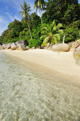 Similar image 1573572