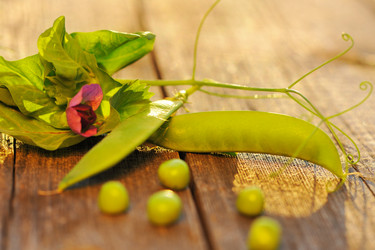 Similar image 1573577