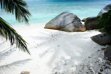 Similar image 1573584