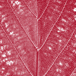 Similar image 1573619