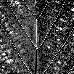 Similar image 1573620