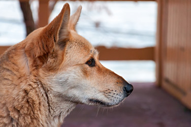 Similar image 1573622