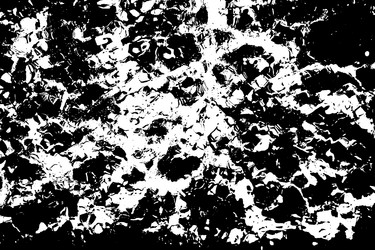 Similar image 1573624